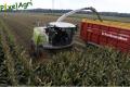 Ensilage de maïs 2013 (Etienne)