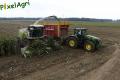 Ensilage de maïs 2013 (Etienne)