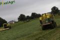 Récolte de petits pois (LWB)
