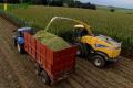Ensilage de maïs (Herens)