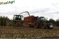 Ensilage de maïs (Schoonbroodt)