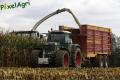 Ensilage de maïs (Schoonbroodt)