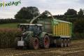 Ensilage de maïs (Schoonbroodt)