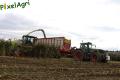 Ensilage de maïs (Schoonbroodt)