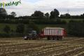 Ensilage de maïs (Schoonbroodt)