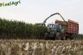 Ensilage de maïs 2013 (Ruwet)