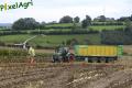 Ensilage de maïs (Schoonbroodt)