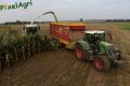 Ensilage de maïs 2013 (Ruwet)