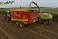 Ensilage de maïs 2013 (Ruwet)