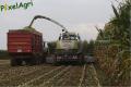 Ensilage de maïs 2013 (Ruwet)