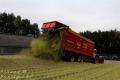 Ensilage de maïs (Ruwet)