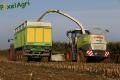 Ensilage de maïs 2013 (Lacroix)