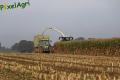 Ensilage de maïs 2013 (Lacroix)