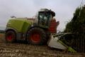 Ensilage de maïs (Ruwet)