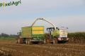 Ensilage de maïs 2013 (Lacroix)