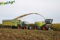 Ensilage de maïs 2013 (Lacroix)