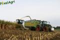 Ensilage de maïs 2013 (Lacroix)