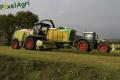 Ensilage d'herbe (Schoonbroodt)