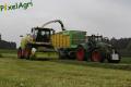 Ensilage d'herbe (Schoonbroodt)