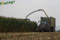 Ensilage de maïs (Lacroix)