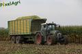 Ensilage de maïs (Lacroix)