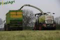 Ensilage d'herbe (Schoonbroodt)