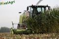 Ensilage de maïs (Lacroix)