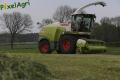 Ensilage d'herbe (Schoonbroodt)