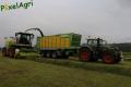 Ensilage d'herbe (Schoonbroodt)