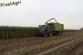 Ensilage de maïs (Lacroix)