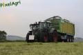 Ensilage d'herbe (Schoonbroodt)