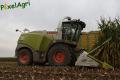 Ensilage de maïs (Lacroix)