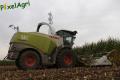 Ensilage de maïs (Lacroix)
