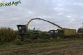 Ensilage de maïs (Evrard)