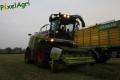 Ensilage d'herbe (Schoonbroodt)