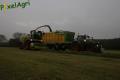 Ensilage d'herbe (Schoonbroodt)