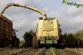 Ensilage de maïs 2013 (Lambotte, Georis & Noirhomme)