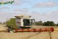 Moisson 2013