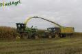 Ensilage de maïs (Evrard)