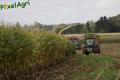 Ensilage de maïs 2013 (Lambotte, Georis & Noirhomme)
