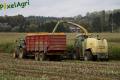 Ensilage de maïs 2013 (Lambotte, Georis & Noirhomme)