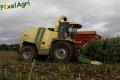 Ensilage de maïs 2013 (Lambotte, Georis & Noirhomme)