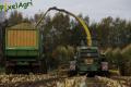 Ensilage de maïs (Evrard)