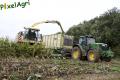 Ensilage de maïs 2013 (Lambotte, Georis & Noirhomme)
