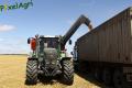 Moisson 2013