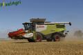 Moisson 2013