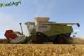Moisson 2013