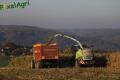 Ensilage de maïs (Etienne)