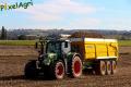 Arrachage de PDT (Fortemps)