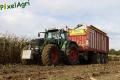 Ensilage de maïs (Schoonbroodt)